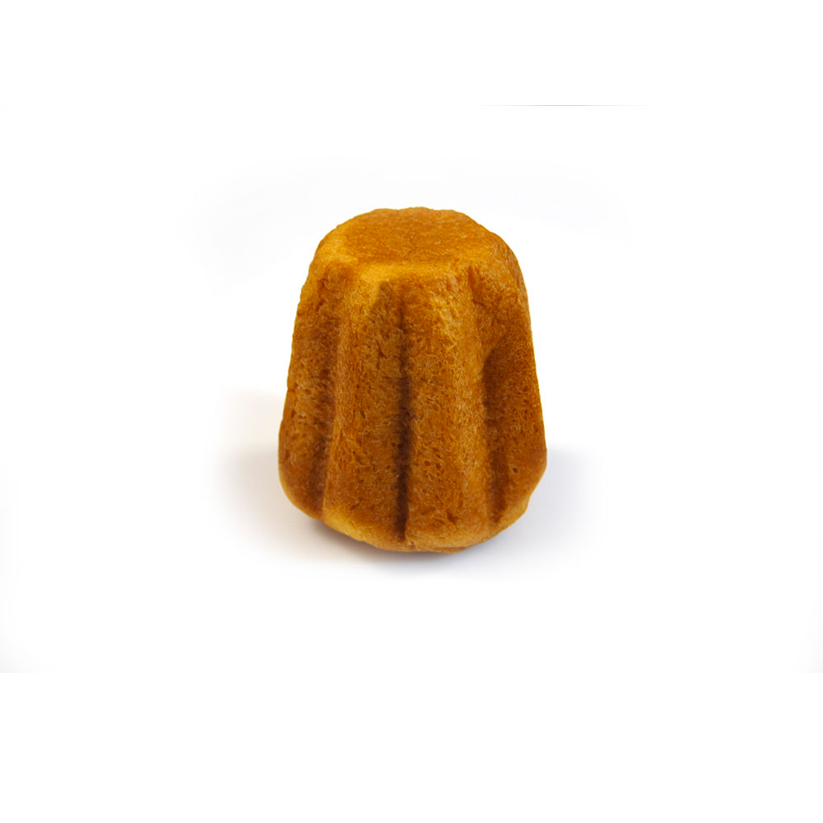 DelìPet - Dolce Natale Pandoro Gatto Confezione 80 Gr