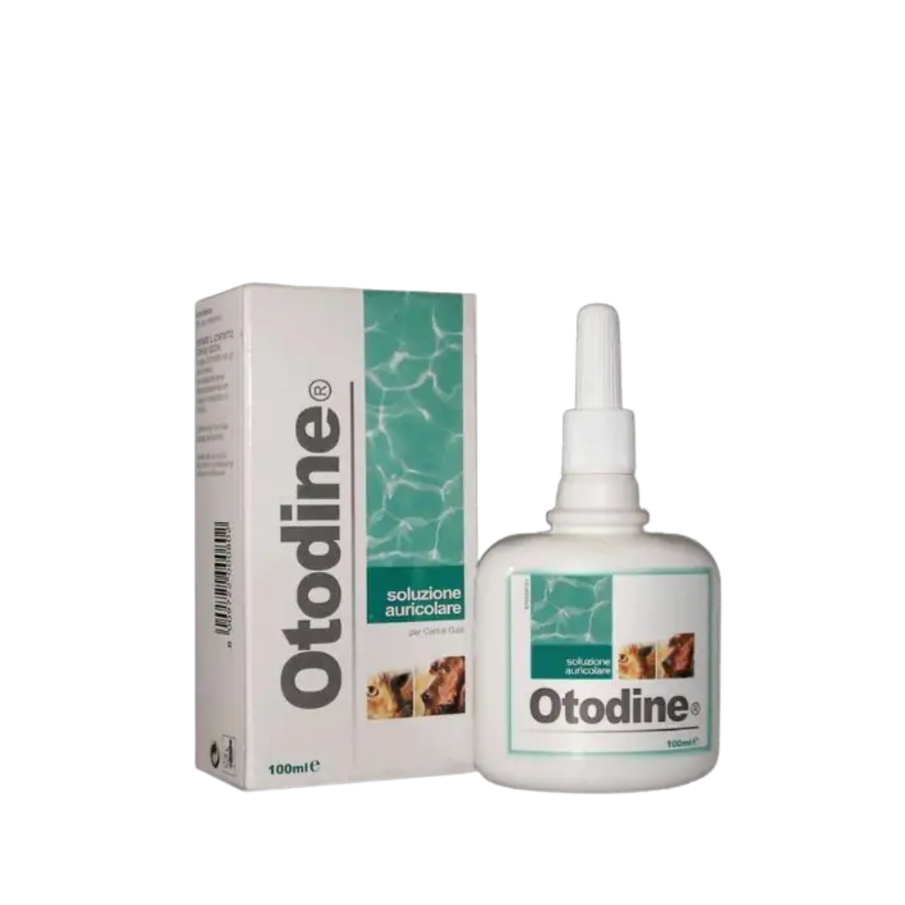 Otodine - Soluzione Auricolare per Cani e Gatti con Clorexidina Confezione 100 Ml