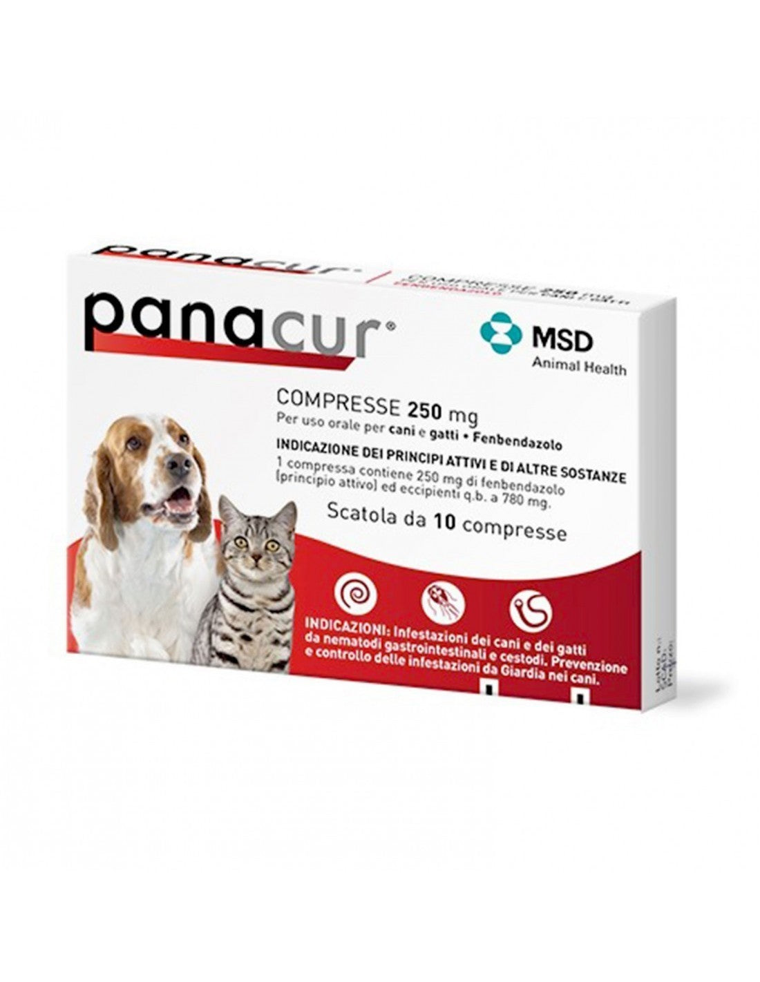PANACUR 10 COMPRESSE 250 MG